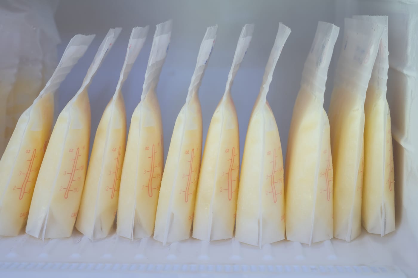 bolsas de leche materna congelada organizadas y etiquetadas